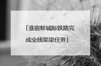 淮宿蚌城际铁路完成全线架梁任务
