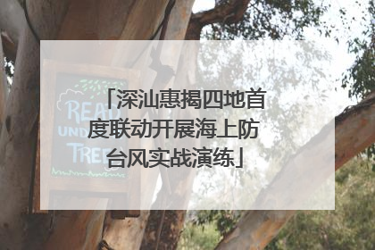 深汕惠揭四地首度联动开展海上防台风实战演练
