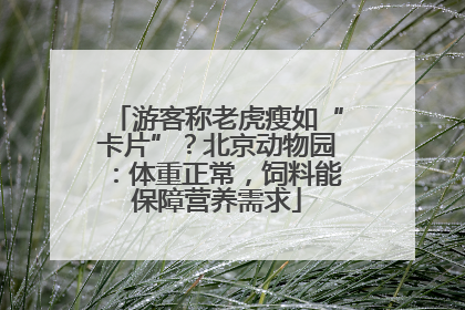 游客称老虎瘦如“卡片”？北京动物园：体重正常，饲料能保障营养需求