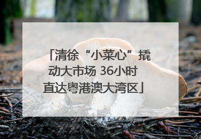 清徐“小菜心”撬动大市场 36小时直达粤港澳大湾区