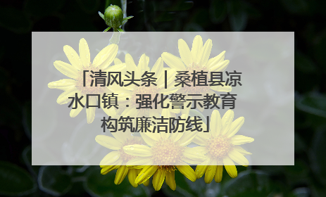 清风头条｜桑植县凉水口镇：强化警示教育 构筑廉洁防线