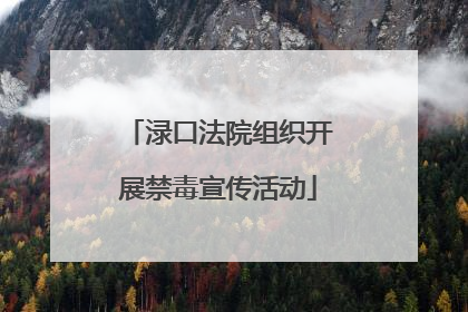 渌口法院组织开展禁毒宣传活动
