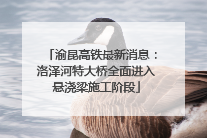 渝昆高铁最新消息：洛泽河特大桥全面进入悬浇梁施工阶段