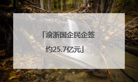 渝浙国企民企签约25.7亿元
