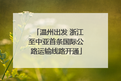 温州出发 浙江至中亚首条国际公路运输线路开通