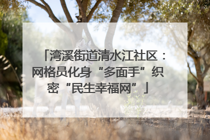 湾溪街道清水江社区：网格员化身“多面手”织密“民生幸福网”