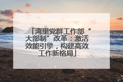 湾里党群工作部“大部制”改革：激活效能引擎，构建高效工作新格局