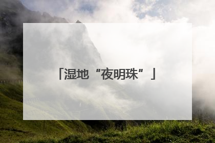 湿地“夜明珠”