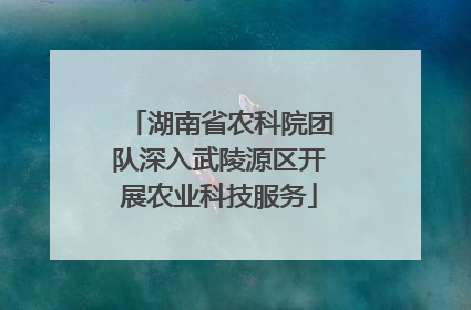 湖南省农科院团队深入武陵源区开展农业科技服务