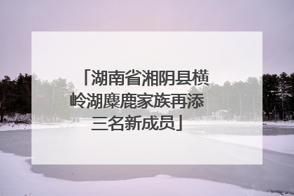 湖南省湘阴县横岭湖麋鹿家族再添三名新成员