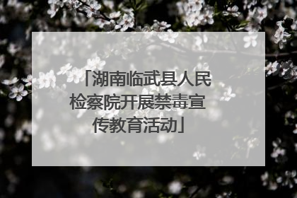 湖南临武县人民检察院开展禁毒宣传教育活动