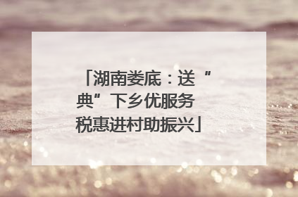 湖南娄底：送“典”下乡优服务 税惠进村助振兴