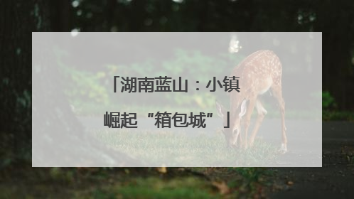 湖南蓝山：小镇崛起“箱包城”