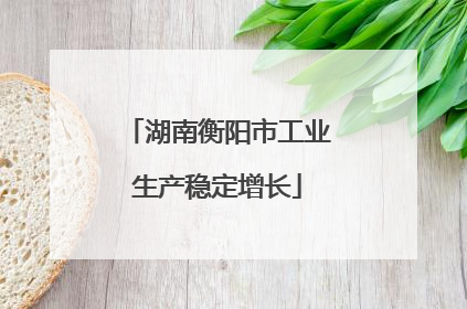 湖南衡阳市工业生产稳定增长