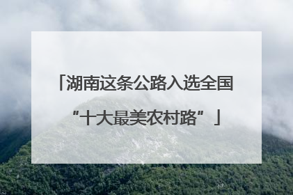 湖南这条公路入选全国“十大最美农村路”
