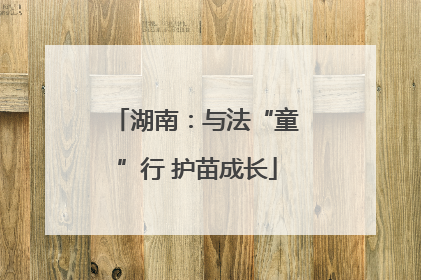 湖南：与法“童”行 护苗成长