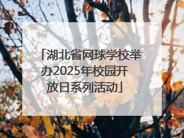 湖北省网球学校举办2025年校园开放日系列活动