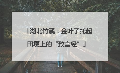 湖北竹溪：金叶子托起田埂上的“致富经”