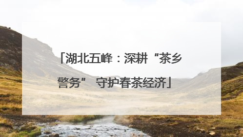 湖北五峰：深耕“茶乡警务” 守护春茶经济