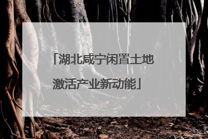 湖北咸宁闲置土地激活产业新动能