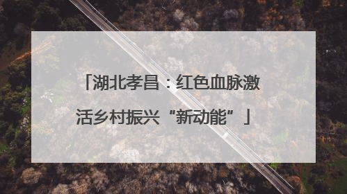 湖北孝昌：红色血脉激活乡村振兴“新动能”