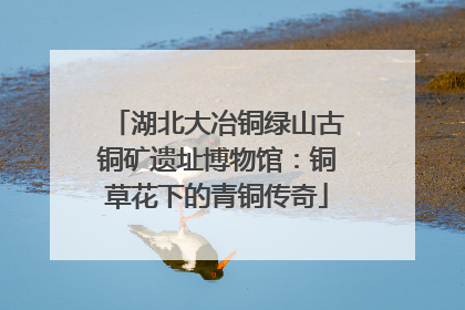 湖北大冶铜绿山古铜矿遗址博物馆：铜草花下的青铜传奇