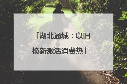 湖北通城：以旧换新激活消费热