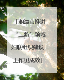 湘潭市推进“三新”领域妇联组织建设工作见成效