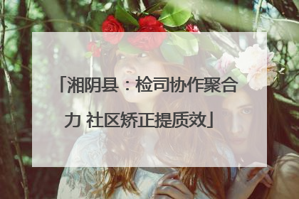 湘阴县：检司协作聚合力 社区矫正提质效