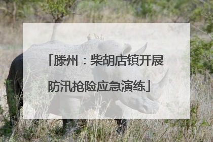 滕州：柴胡店镇开展防汛抢险应急演练