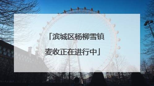 滨城区杨柳雪镇麦收正在进行中