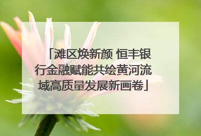 滩区焕新颜 恒丰银行金融赋能共绘黄河流域高质量发展新画卷