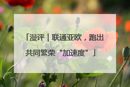 漫评｜联通亚欧，跑出共同繁荣“加速度”