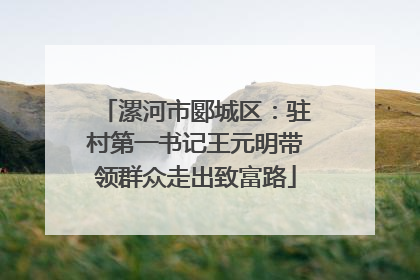 漯河市郾城区：驻村第一书记王元明带领群众走出致富路