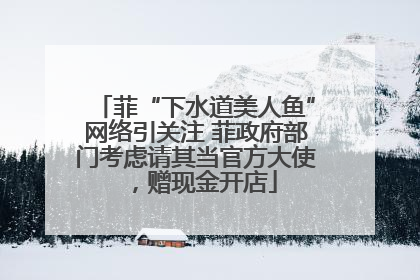菲“下水道美人鱼”网络引关注 菲政府部门考虑请其当官方大使，赠现金开店