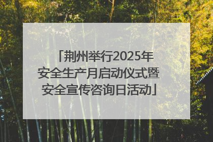 荆州举行2025年安全生产月启动仪式暨安全宣传咨询日活动