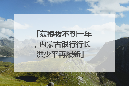 获提拔不到一年，内蒙古银行行长洪少平再履新