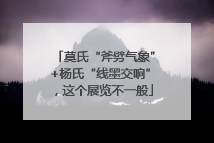莫氏“斧劈气象”+杨氏“线墨交响”，这个展览不一般