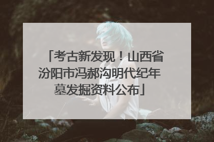 考古新发现！山西省汾阳市冯郝沟明代纪年墓发掘资料公布