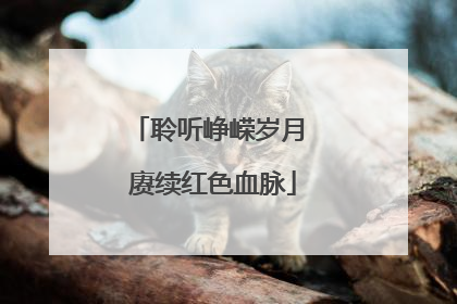 聆听峥嵘岁月 赓续红色血脉