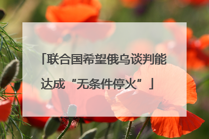 联合国希望俄乌谈判能达成“无条件停火”