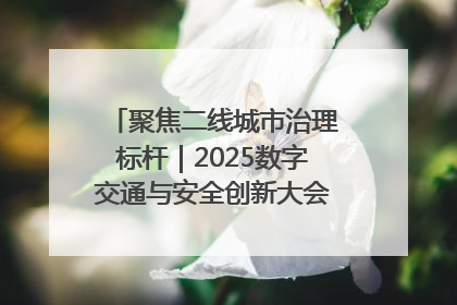 聚焦二线城市治理标杆｜2025数字交通与安全创新大会在保定隆重开幕