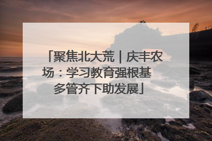 聚焦北大荒｜庆丰农场：学习教育强根基 多管齐下助发展