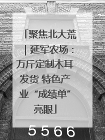 聚焦北大荒｜延军农场：万斤定制木耳发货 特色产业“成绩单”亮眼