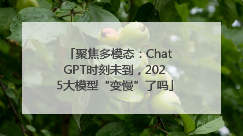 聚焦多模态：ChatGPT时刻未到，2025大模型“变慢”了吗