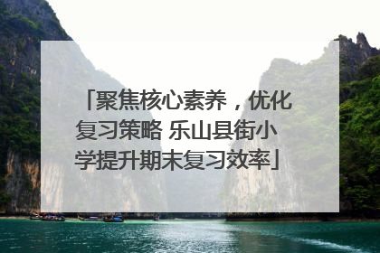 聚焦核心素养，优化复习策略 乐山县街小学提升期末复习效率