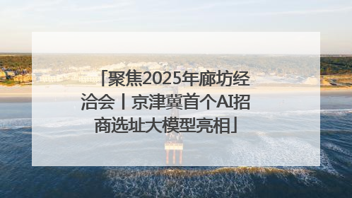 聚焦2025年廊坊经洽会丨京津冀首个AI招商选址大模型亮相