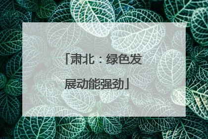 肃北：绿色发展动能强劲