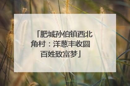 肥城孙伯镇西北角村：洋葱丰收圆百姓致富梦