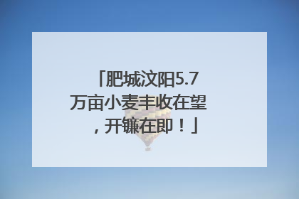 肥城汶阳5.7万亩小麦丰收在望，开镰在即！